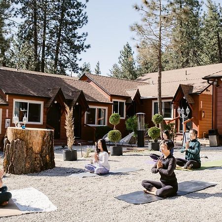 Grand Pine Cabins Wrightwood Exterior foto
